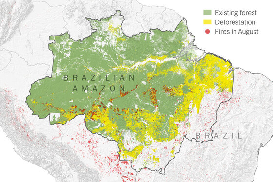 This is a map of the damage caused by the Amazon rainforest fires and Amazon rainforest deforestation. Looking at this map causes many to think on how to stop deforestation. The Ecolibrium Project can help answer those questions. 