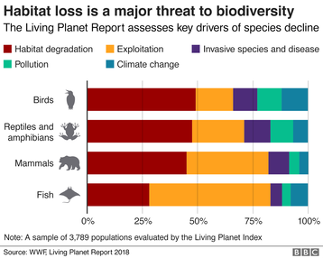 This graph illustrates how habitat loss contributes to the loss of biodiversity. The definition of biodiversity is the variety of different forms of life in an environment. Examples of biodiversity can be found in the smallest of ecosystems to the global biome, and this graphic shows the loss of biodiversity all across the world. The Ecolibrium Project hopes to educate others on the environmental issues such as the loss of biodiversity and advocate for solutions. 