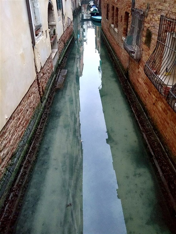 An unforseen coronavirus symptom is the positive effects its having on nature. For example, the venice canals, as seen in this picture, look much clearer than it did pre-pandemic. The Ecolibrium Project hopes that when people witness the little glimpses of natural beauty that return during quarantine, they will be more inspired in their conservational efforts.